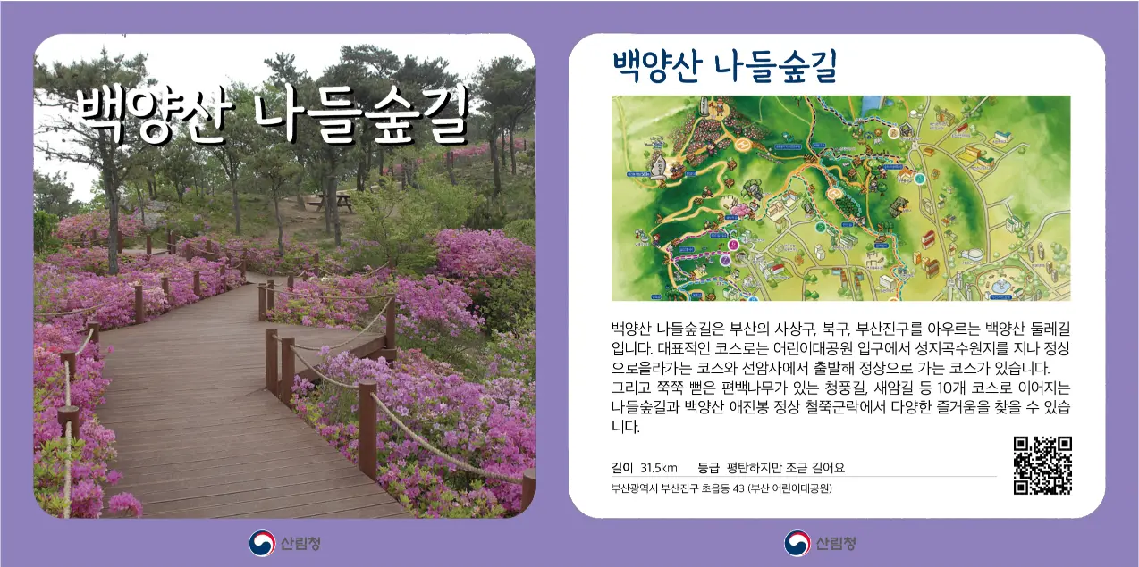 백양산_나들숲길