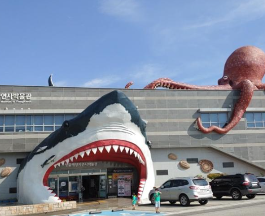 땅끝해양자연사박물관
