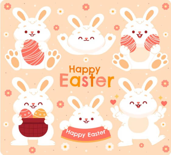 토끼의 다양한 모습