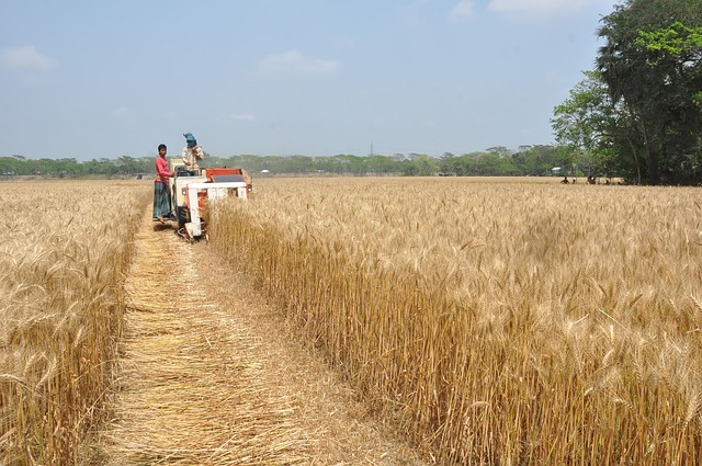 귀농귀촌교육이수 교육문의처