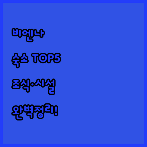 비엔나 숙소 추천 TOP 5 위치 장..