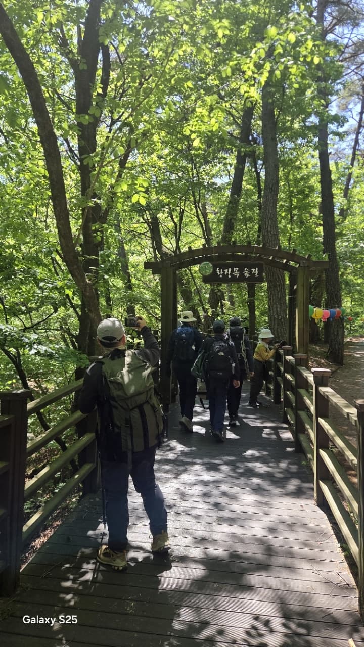 5월의 치악산은 걷기만 해도 힐링되는 곳