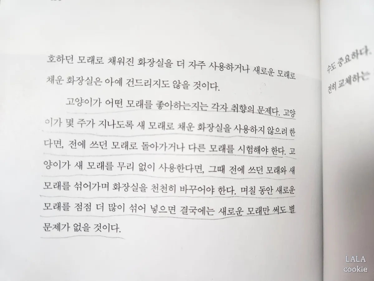 고양이-모래-바꾼-후기-고양이-책-내용