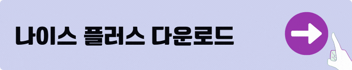 나이스 플러스
