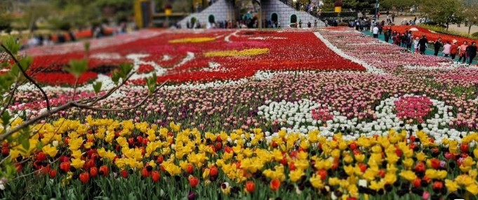 태안 코리아플라워파크 사진