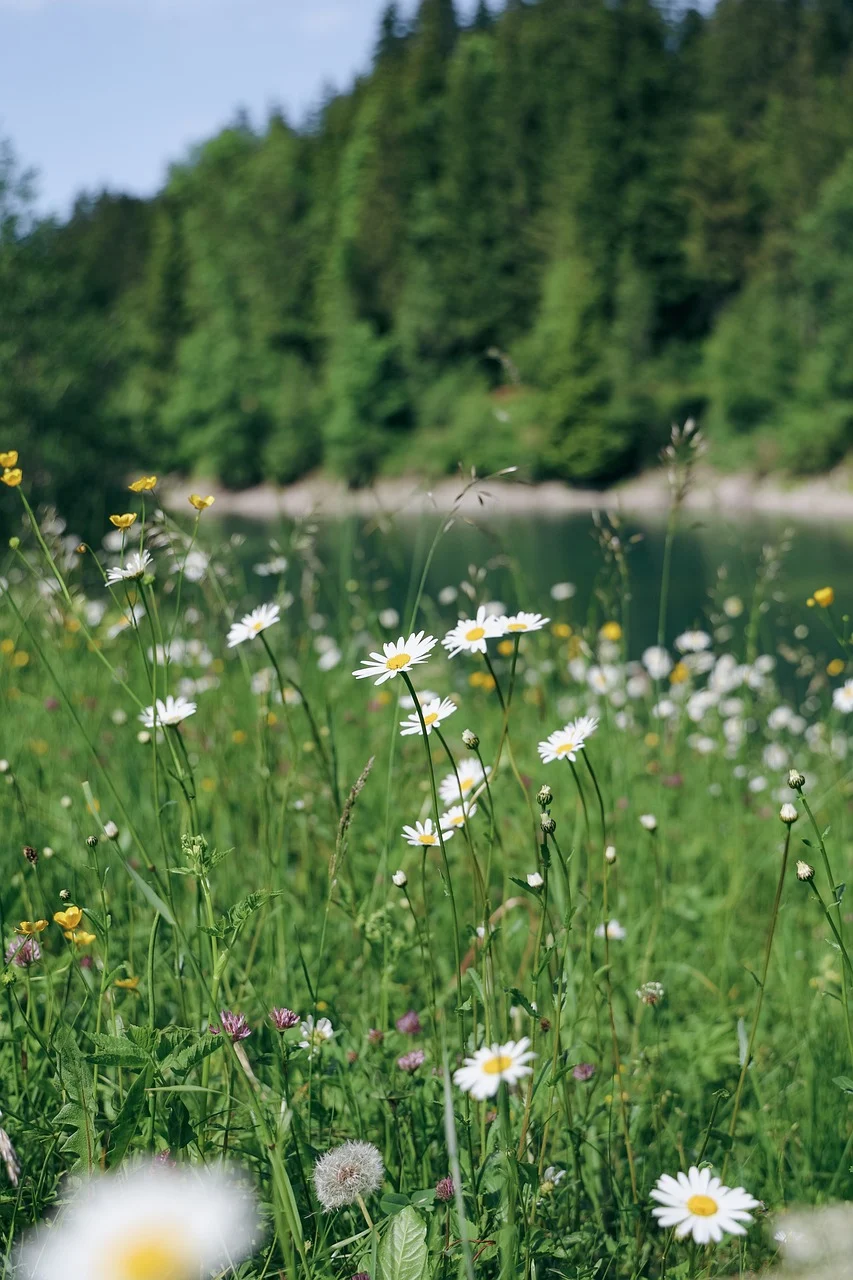 제16편 손실 회피(Loss Aversion): 동일한 손실이 이익보다 더 크게 느껴지는 이유