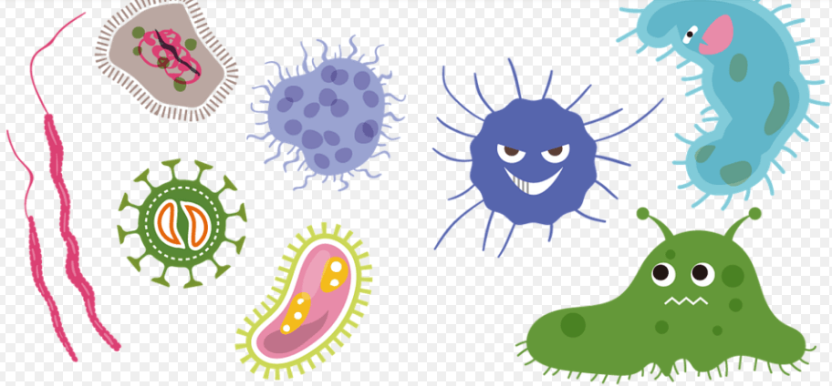 여러가지 세균과 박테리아를 확대한 모습