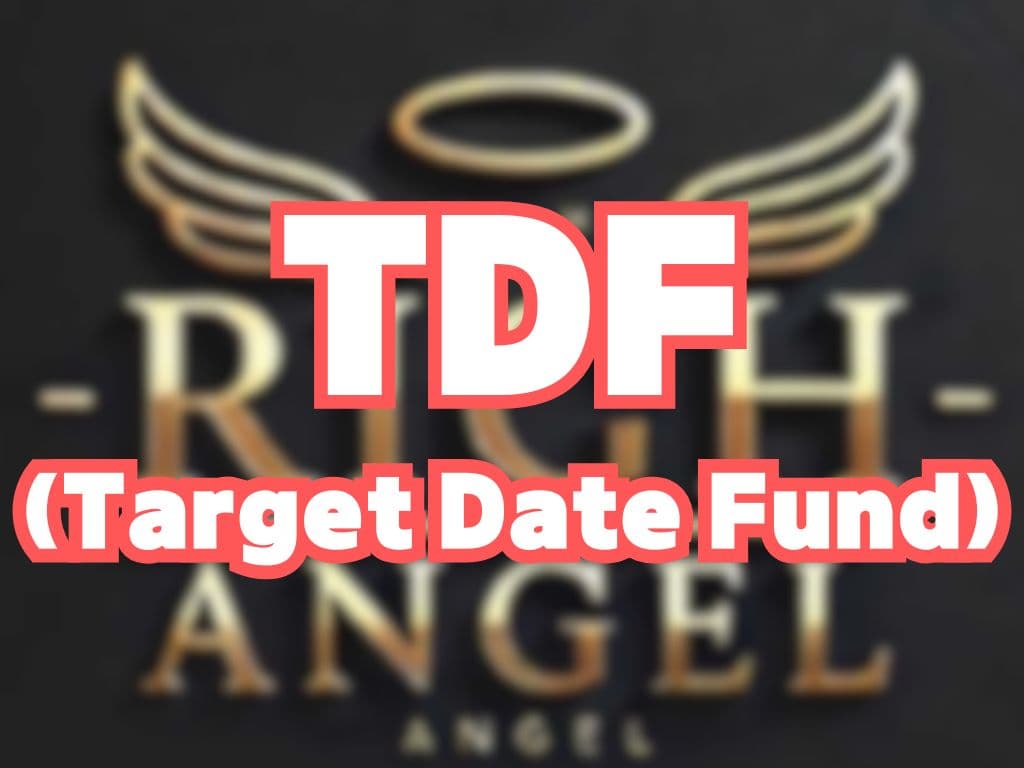 TDF (Target Date Fund)