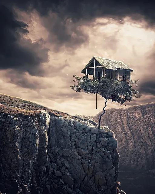 능이버섯 채취시기 산행 정보를 정리_7