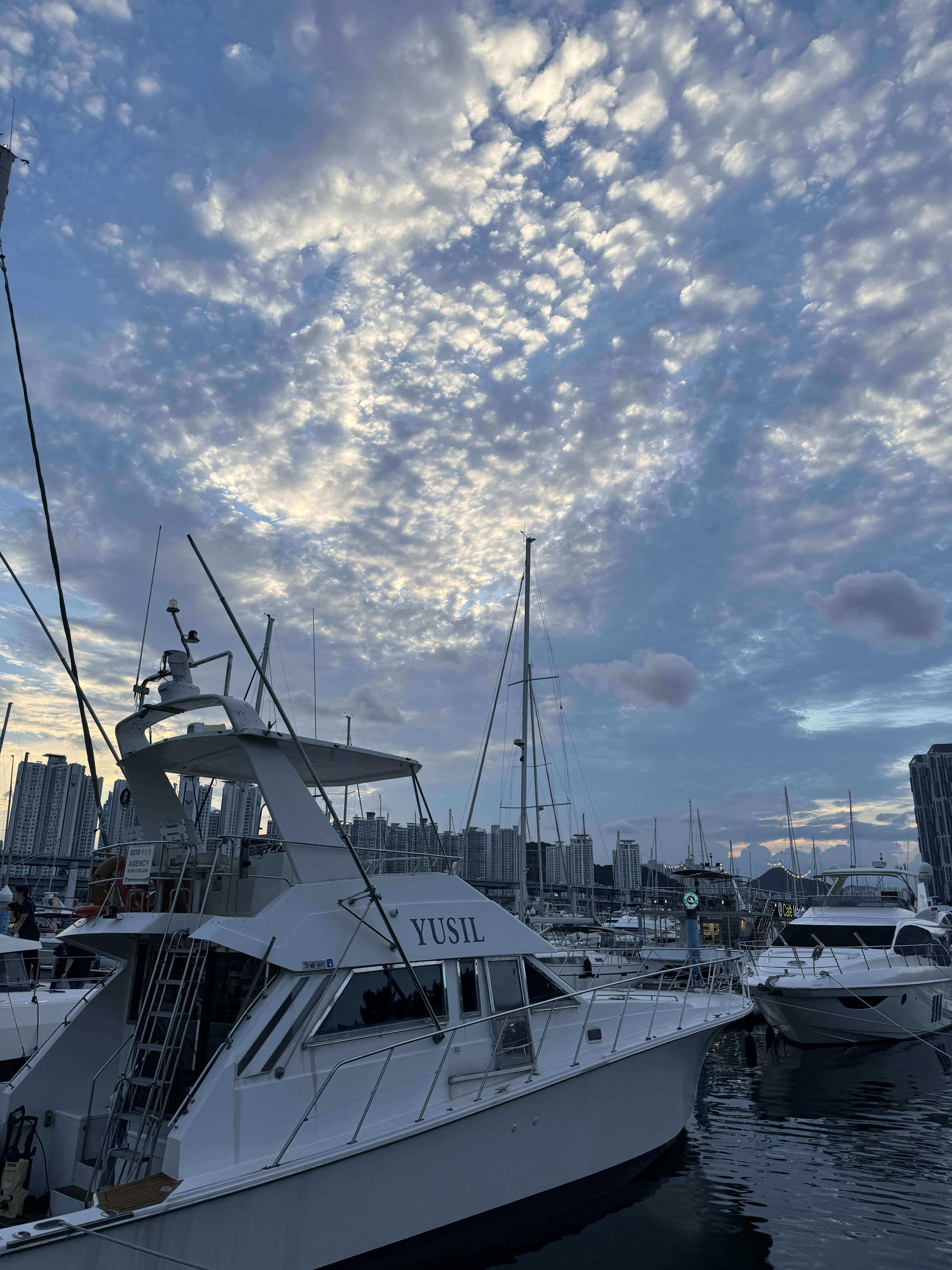 부산 요트 투어