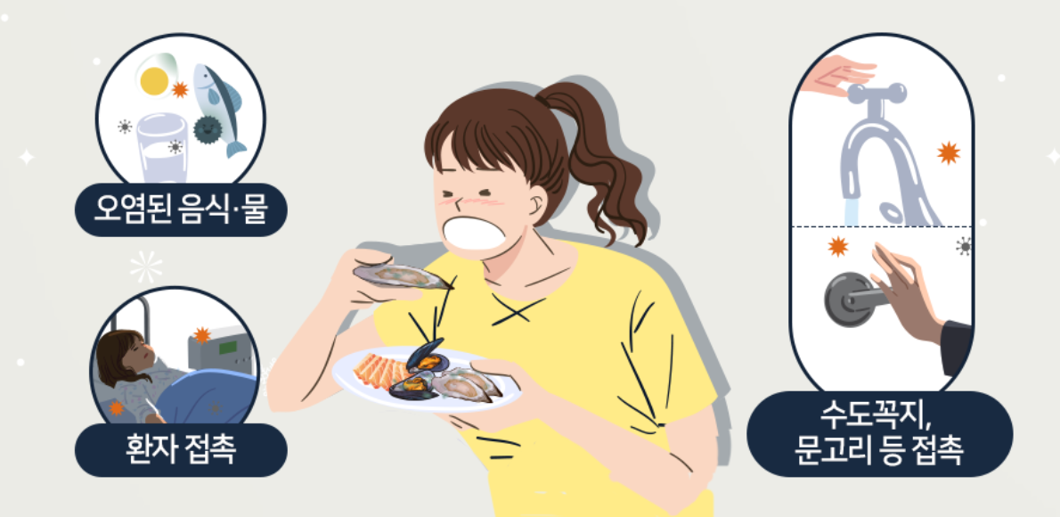 노로바이러스 전염