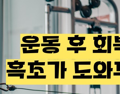 흑초 효능