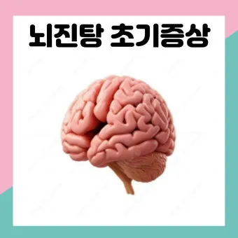 뇌진탕 초기 증상 후유증 으로_24
