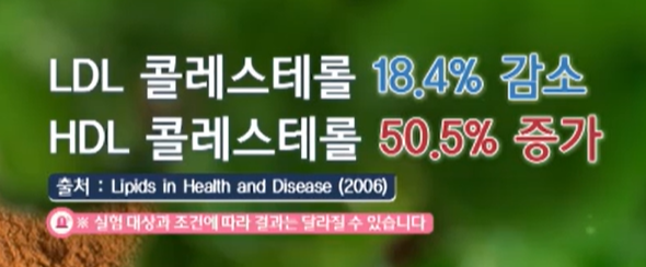 시서스 효능