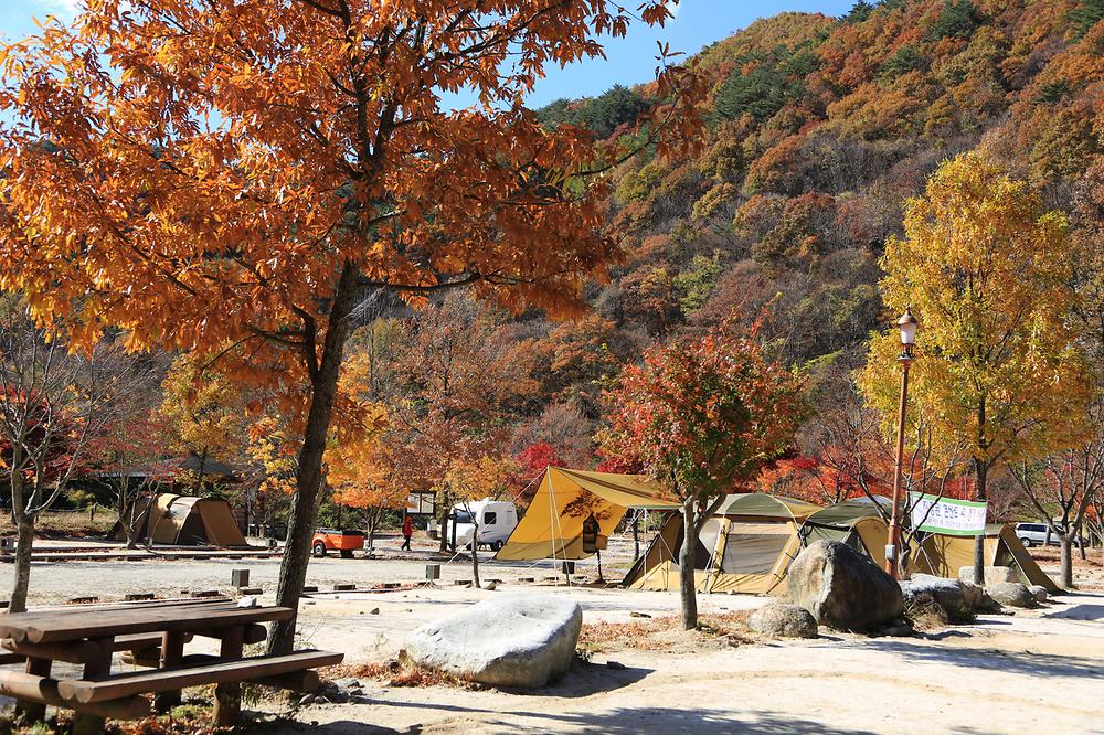 지리산 달궁자동차야영장

전북 남원시 산내면 덕동리 274