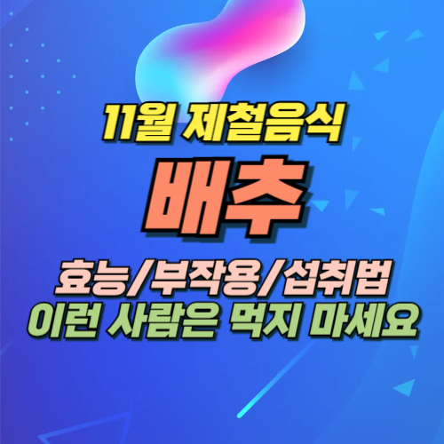 11월 제철음식 배추