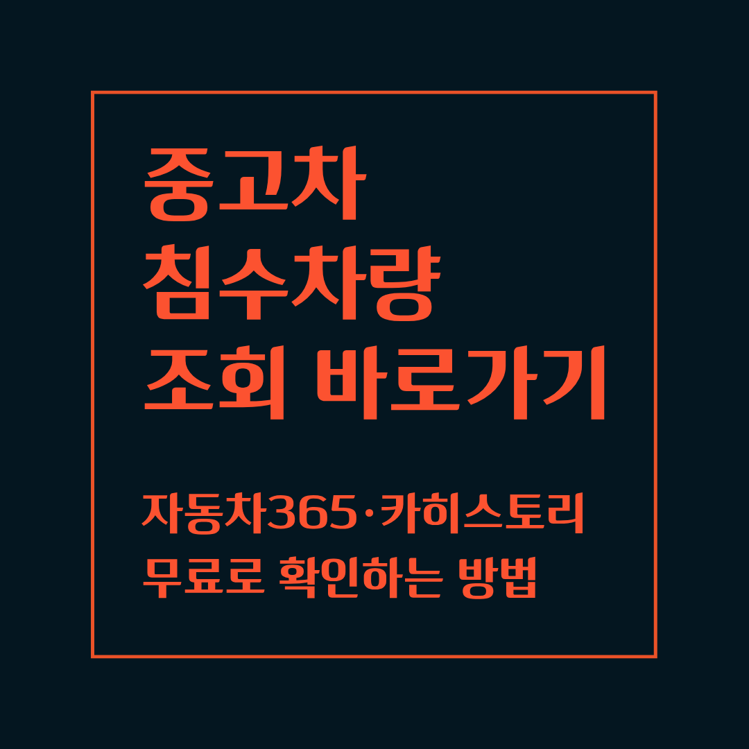 중고차 침수차량 조회
