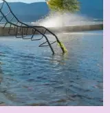 칠곡보 물놀이장