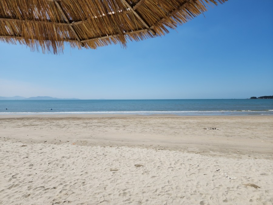 생생정보 미스터 Lee