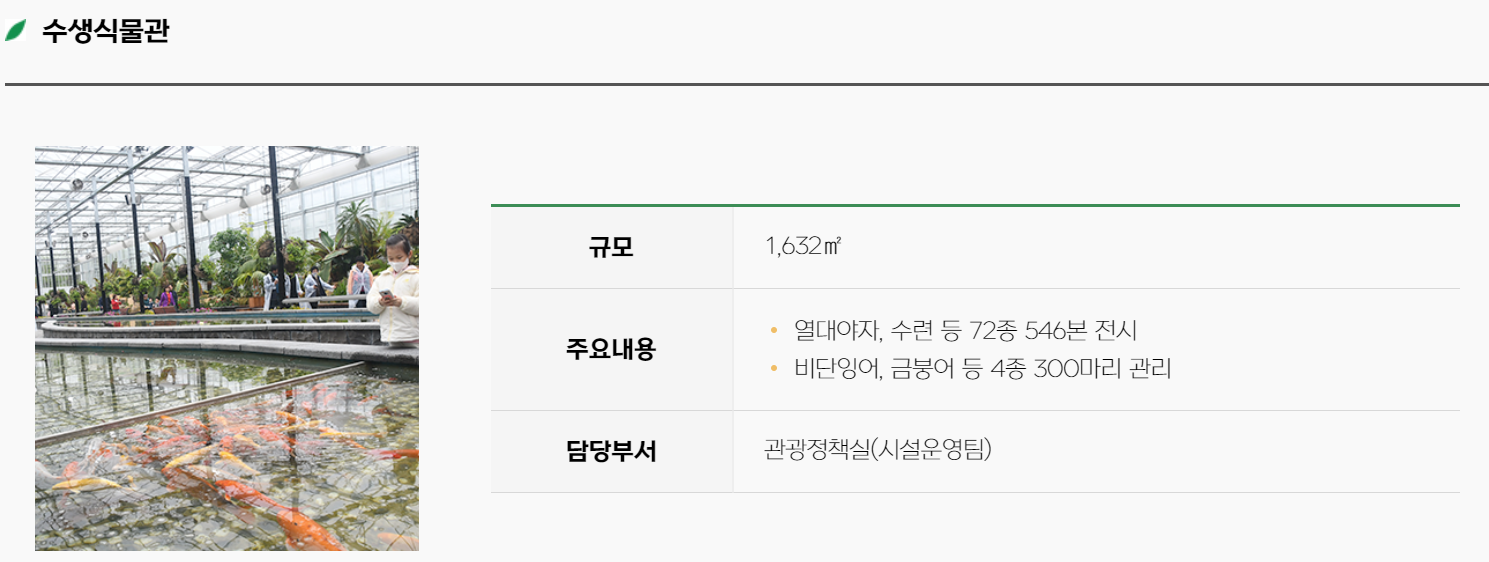 함평 나비축제
