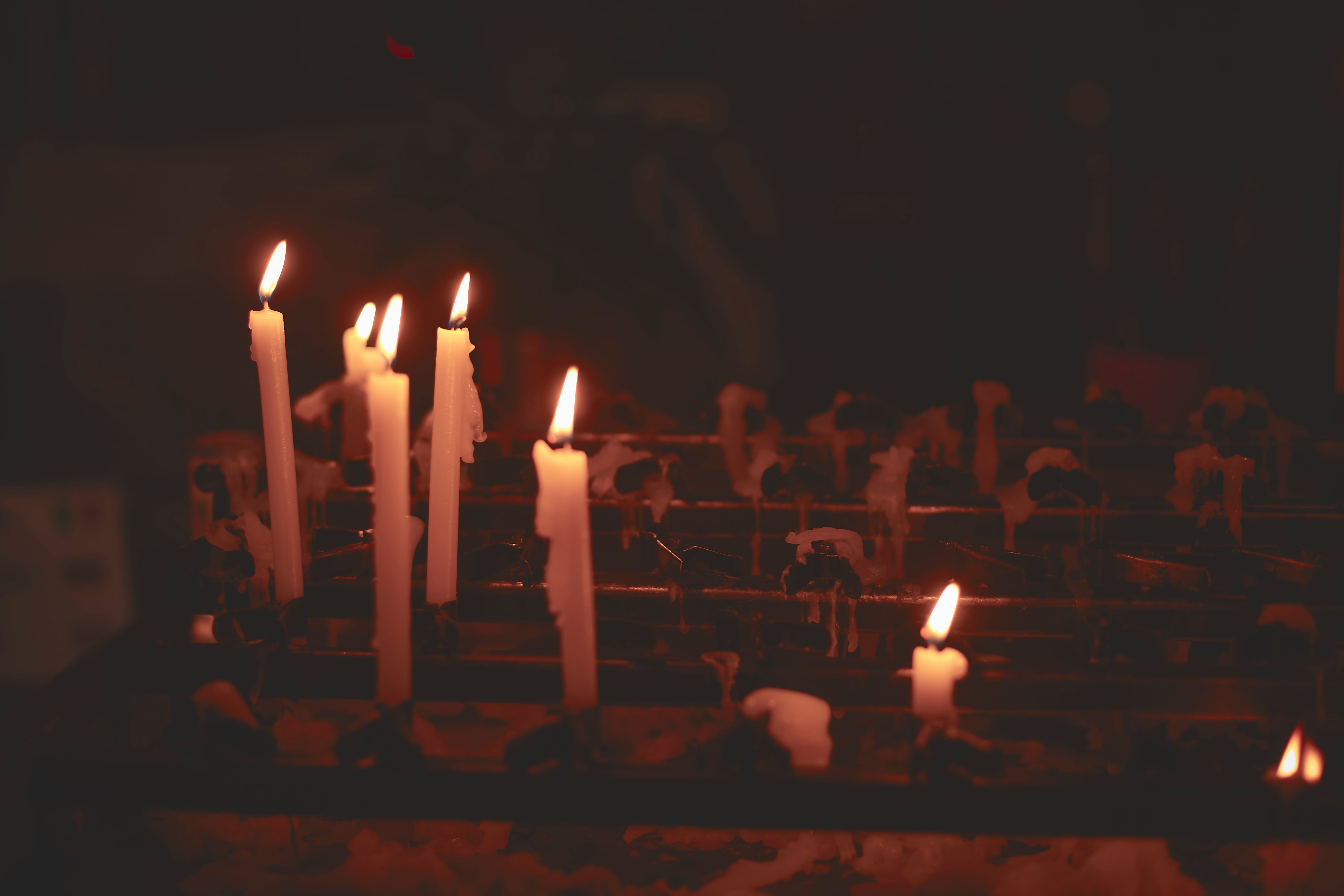 각하 기각 뜻 차이, 탄핵 심판에서의 의미