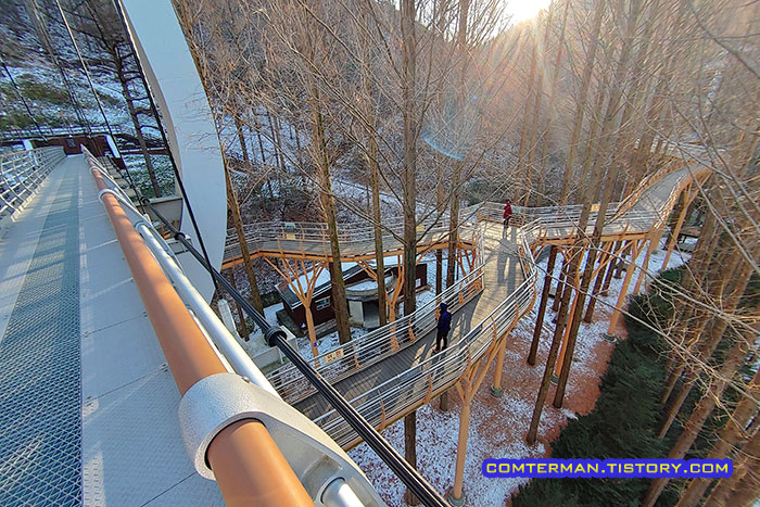 장태산 자연휴양림 출렁다리 전경