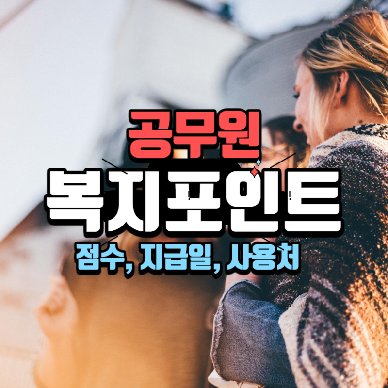 공무원 복지포인트