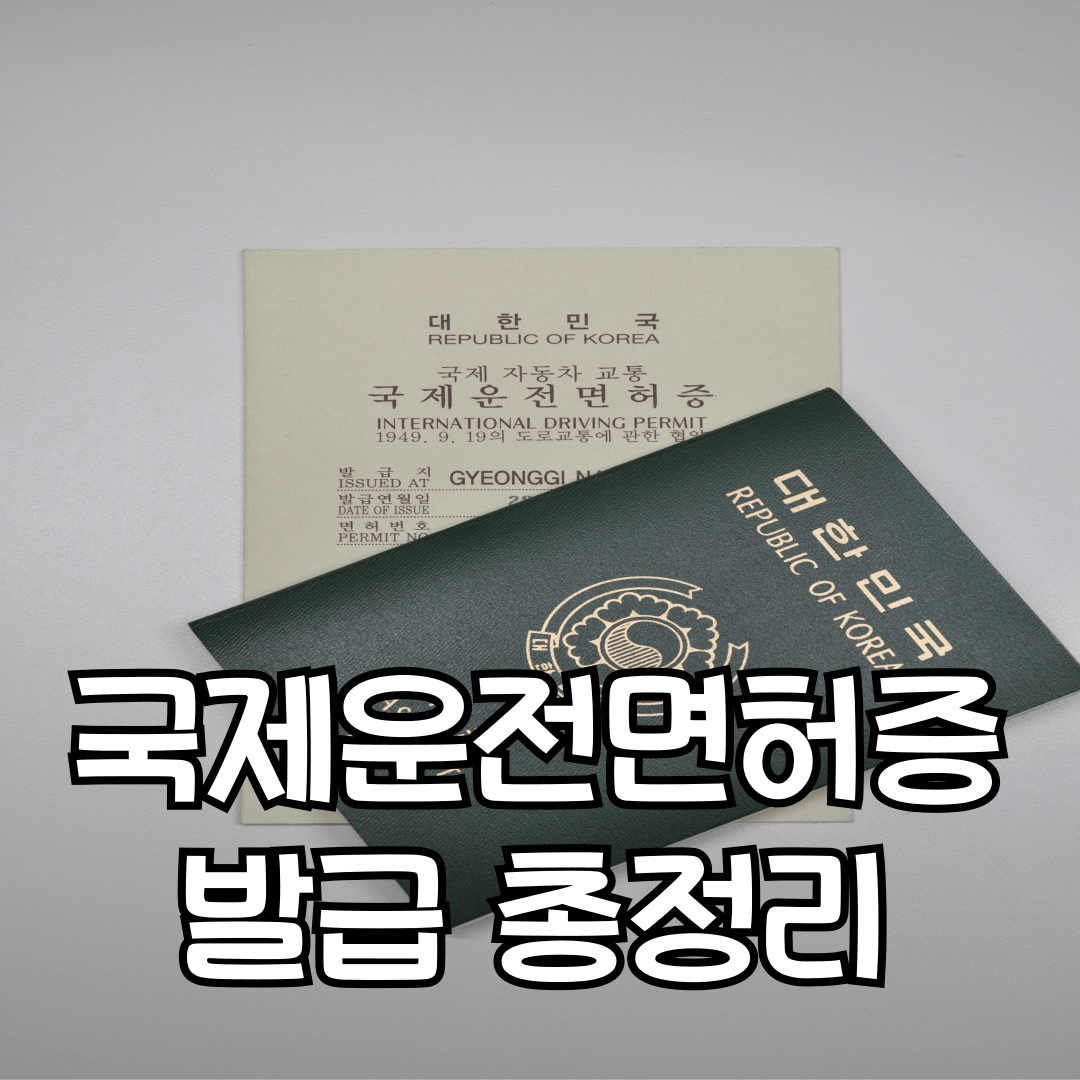 국제운전면허증 발급 총정리