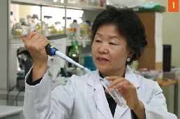 세계최초로 인삼다당체를 발견한 한국원자력의학원(구 원자력병원) 방사선암연구부 윤연숙 박사