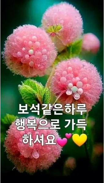 유머 인사말 모음 예시 메일_10