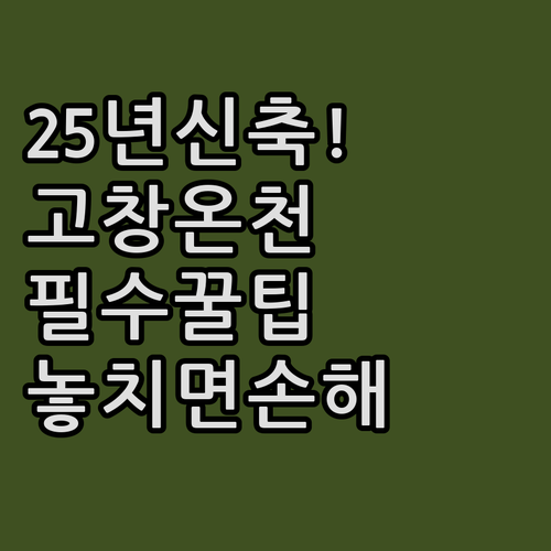 2025년 신축 웰파크호텔 고창 온천..
