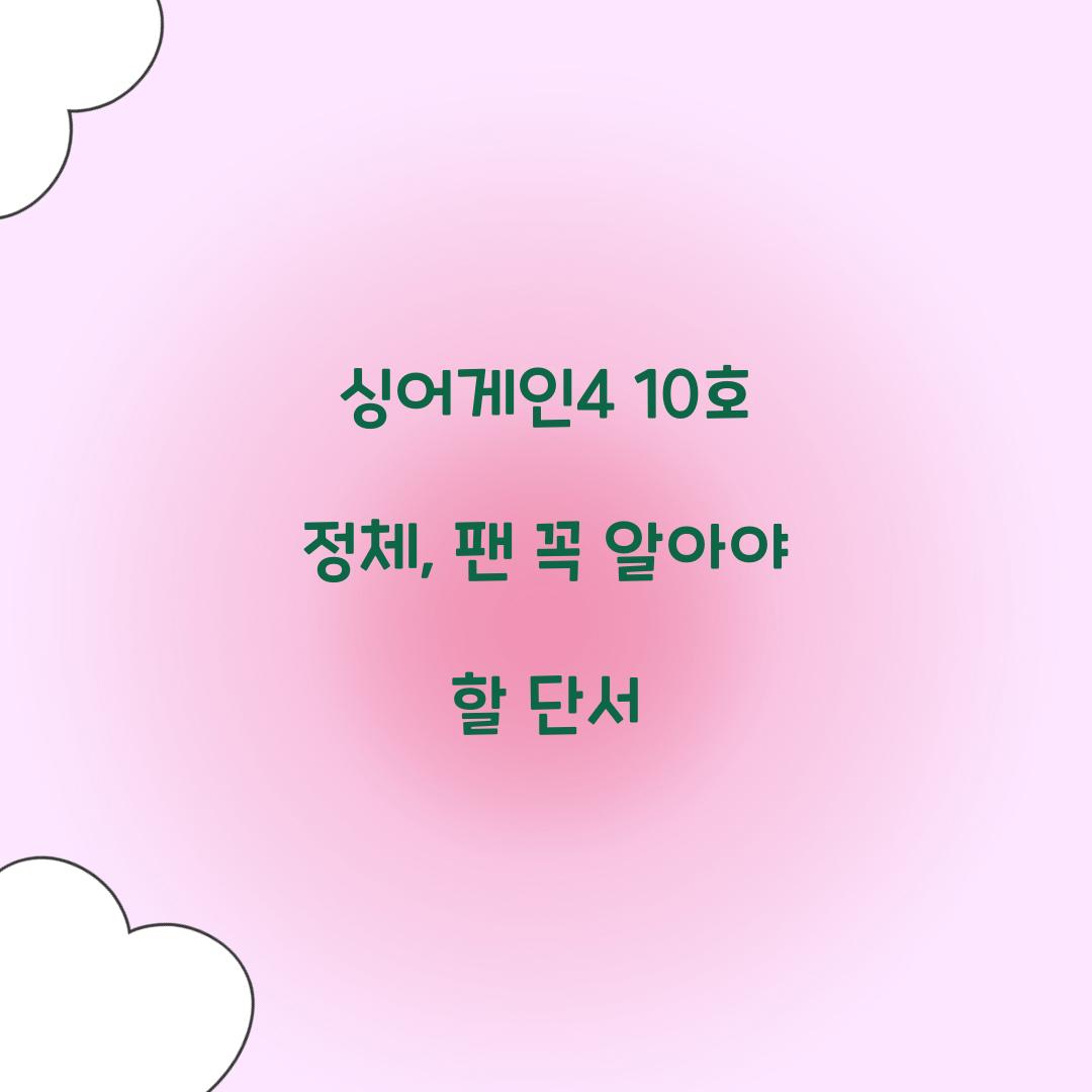 싱어게인4 10호 정체