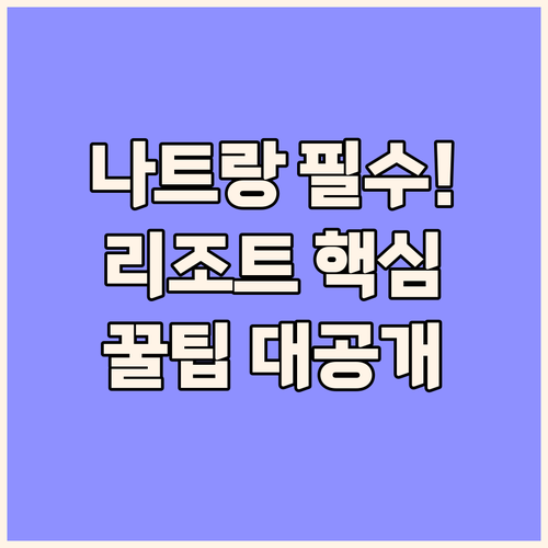 나트랑 여행 필수 가이드 보마 알리부..