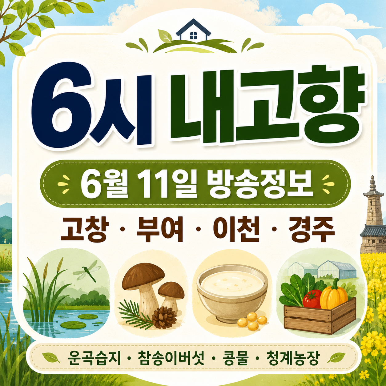 6시 내고향