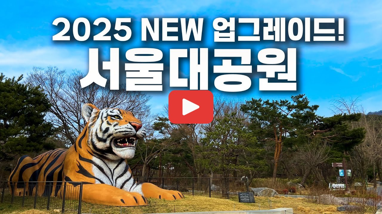 서울 근교 여행 추천 TOP5, 5월에 꼭 가야 할 당일치기 명소