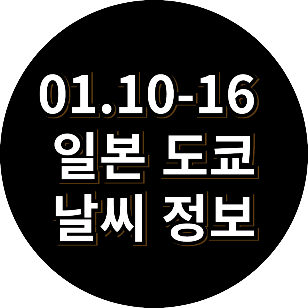 1월 도쿄 날씨 정보