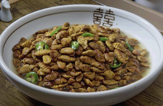 번데기 요리 모습