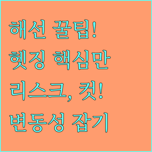 해외선물 옵션 헷징 전략과 변동성 리..