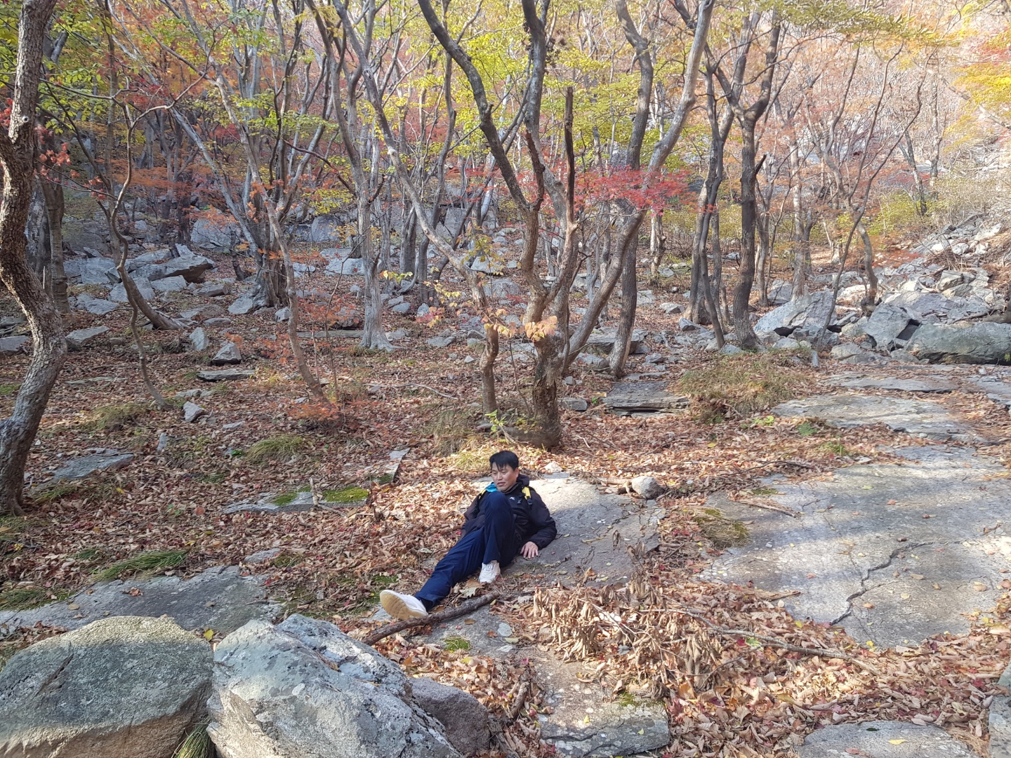 12월에 절대 놓쳐서는 안될 여행지