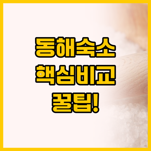 동해 여행 숙소 고민 끝! 뉴 동해 ..