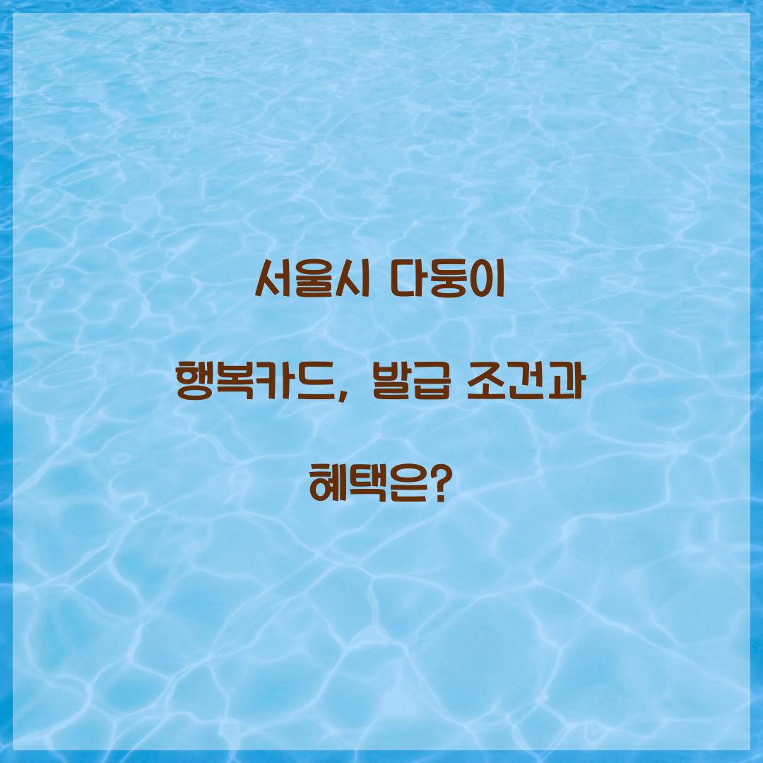 서울시 다둥이 행복카드