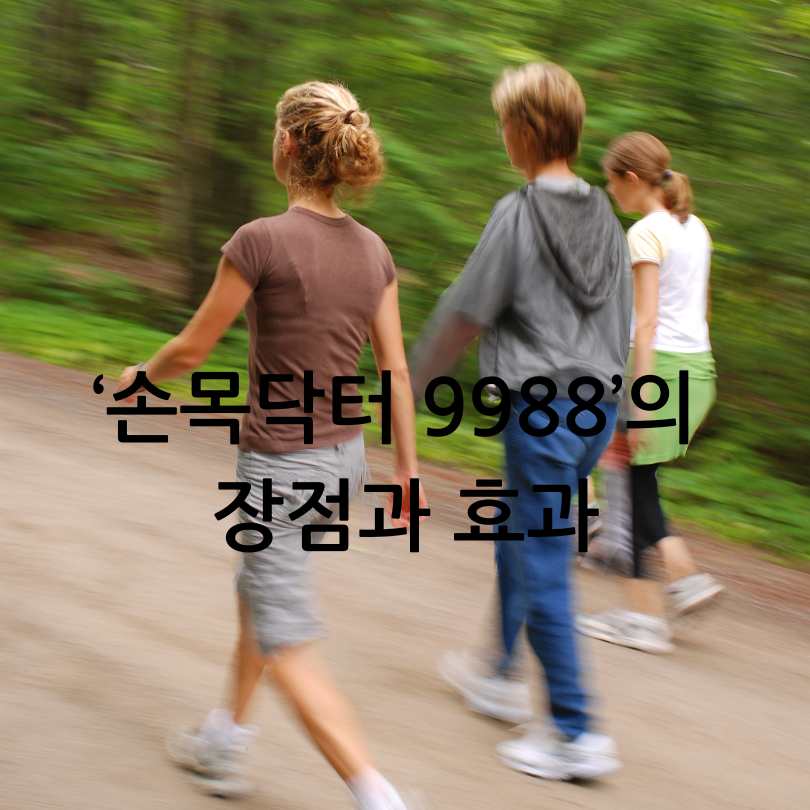손목닥터 9988 -걷기로 돈벌기