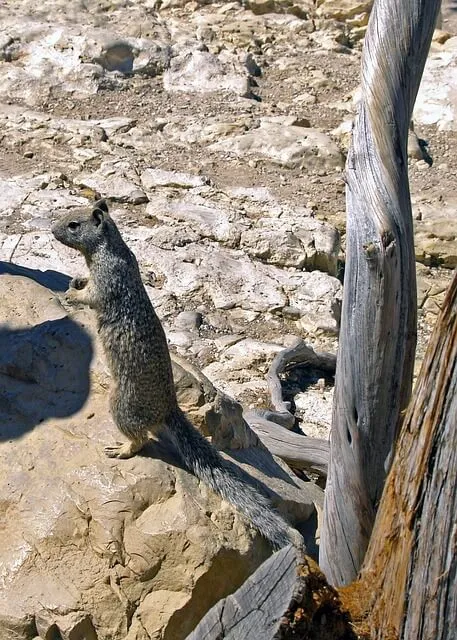 LH 직접 시행과 유휴 부지 활용이 주는 실제 효과