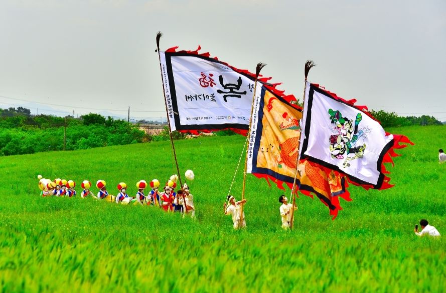 고창 청보리밭 축제 일정 주차 코스 꿀팁