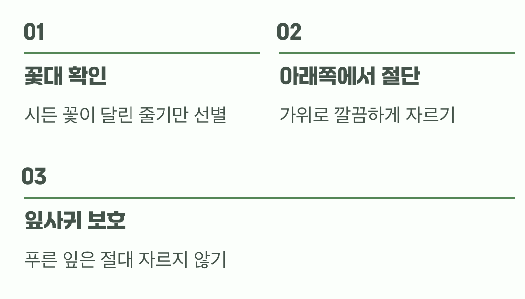 시든 꽃대만 싹둑! (에너지 절약법)
