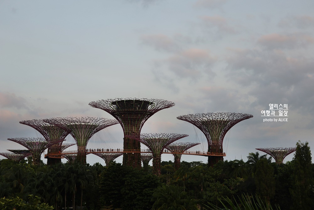 가든스 바이 더 베이 아바타: 더 익스피리언스- 아바타 테마의 몰입형 체험 할인 입장권