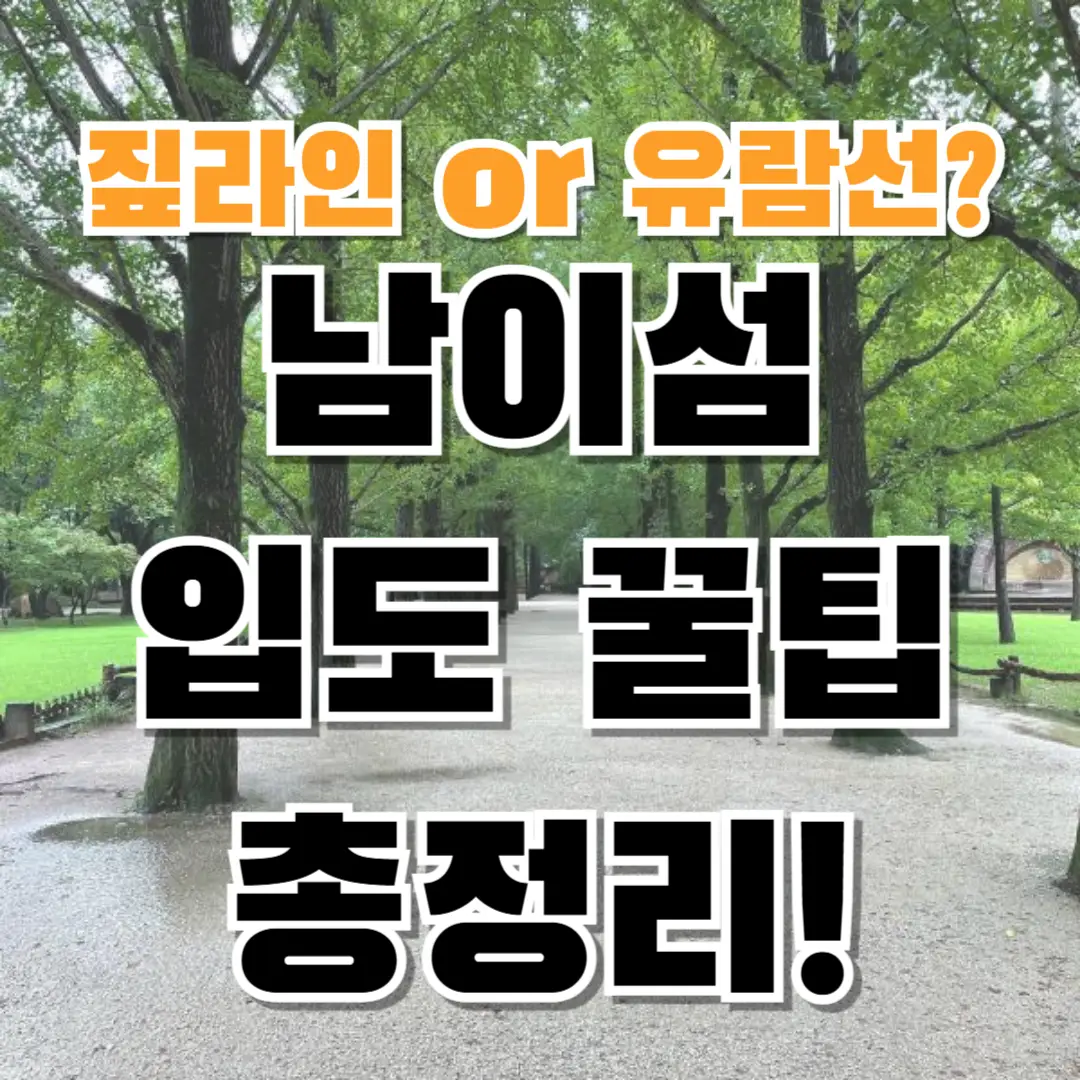 남이섬 짚라인 후기, 유람선 시간표 2025 최신판!