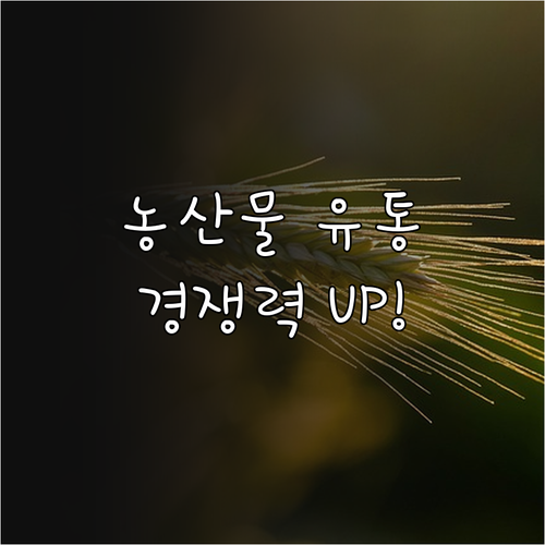2025년 농산물 유통 경쟁력 UP!..
