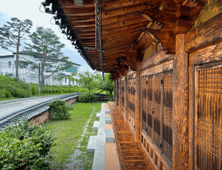 [6시 내고향] 충주 악어봉 탐방로&amp;#44; 장자늪 카누체험장 예약&amp;#44; 탄금호 의상대여 중앙탑의상실