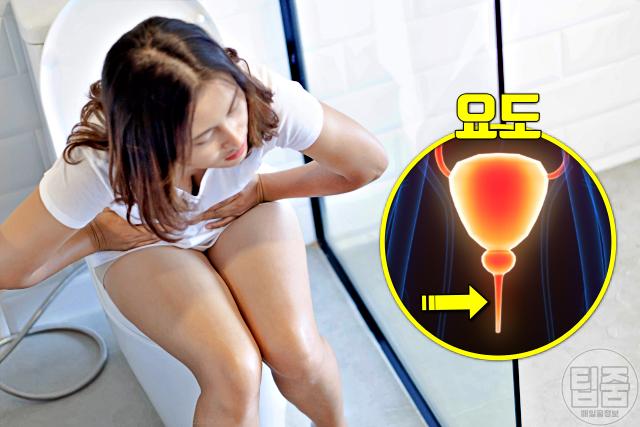 요로감염 증상 소변 따끔 화끈 가려움